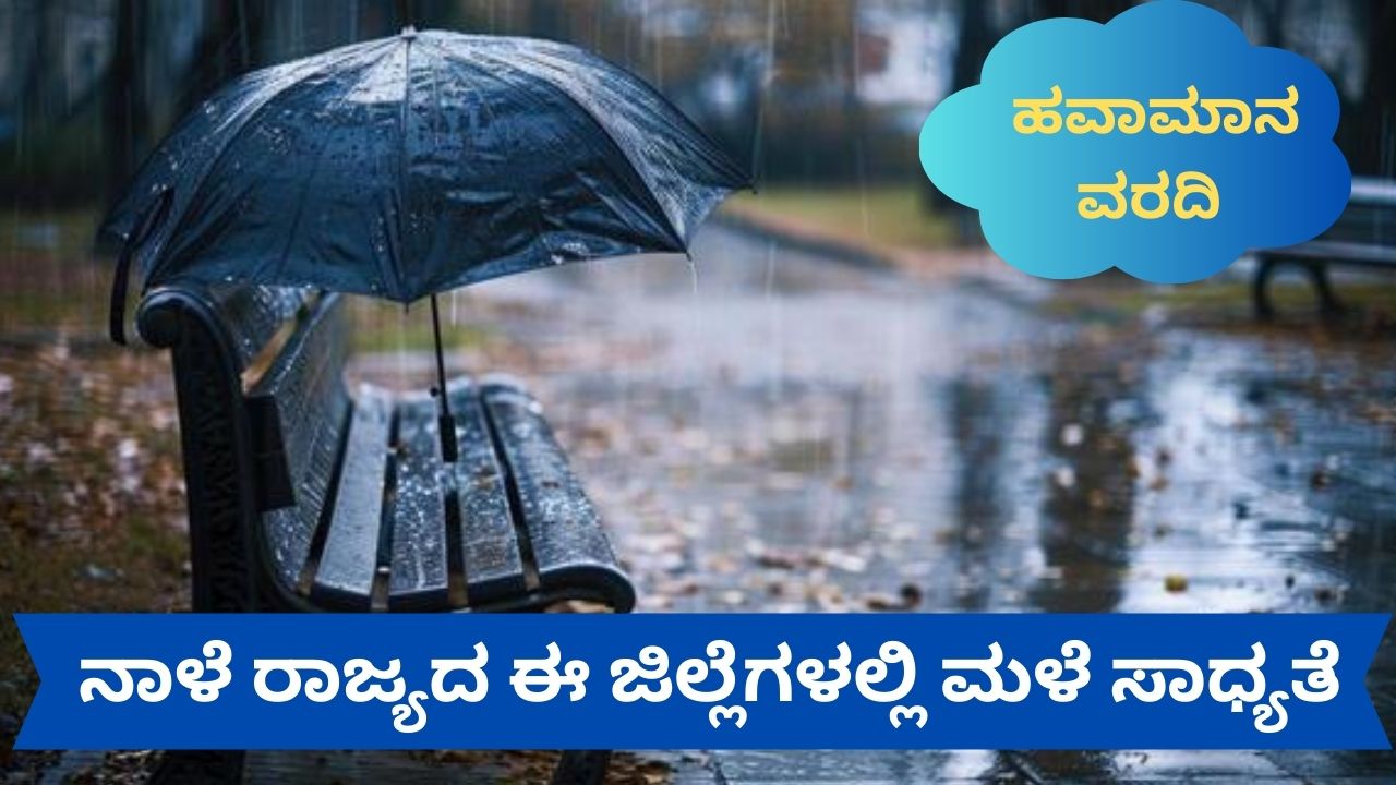 ನಾಳೆ ಶಿವಮೊಗ್ಗ, ಚಿಕ್ಕಮಗಳೂರು ಸೇರಿ ವಿವಿಧ ಜಿಲ್ಲೆಗಳಲ್ಲಿ ಮಳೆ ಮುನ್ಸೂಚನೆ