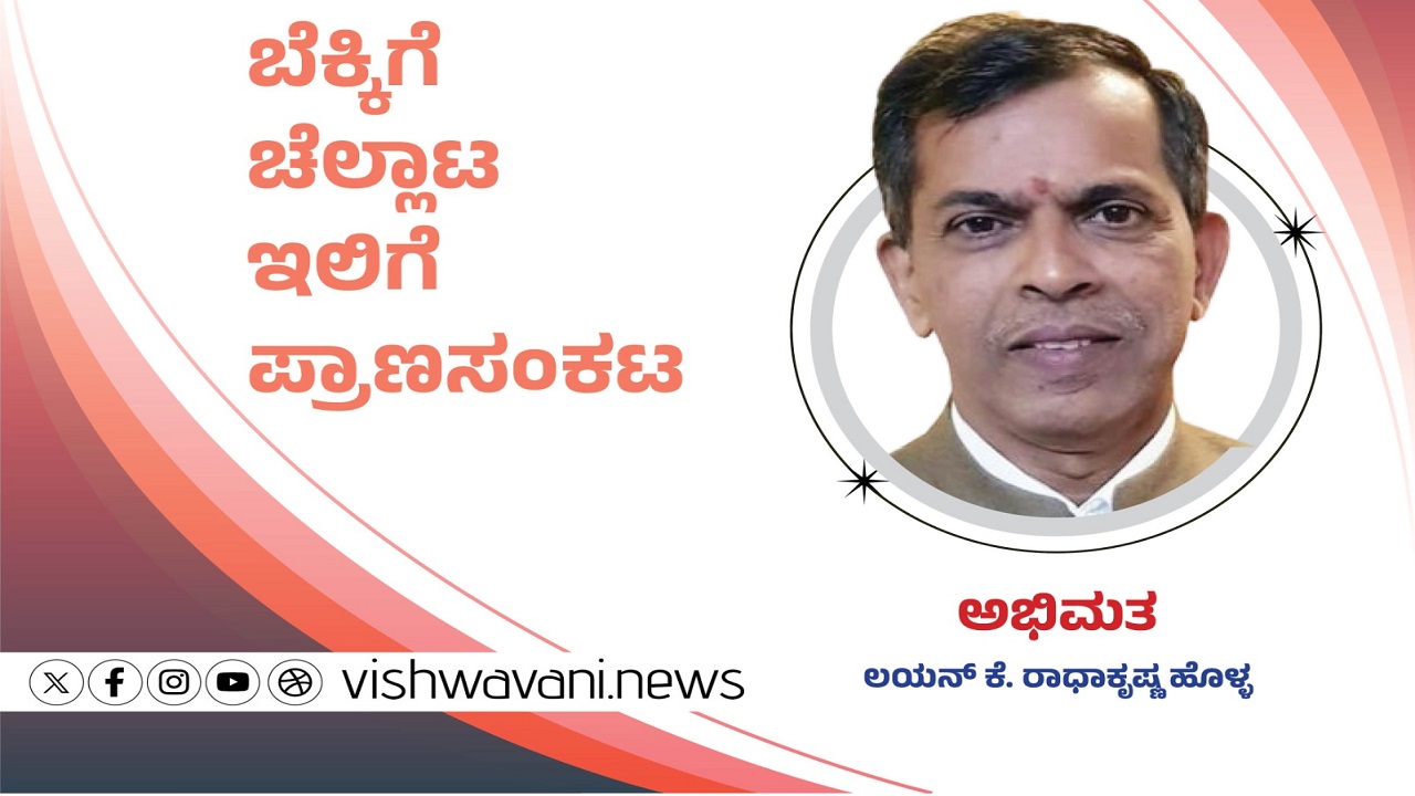 ಬೆಕ್ಕಿಗೆ ಚೆಲ್ಲಾಟ, ಇಲಿಗೆ ಪ್ರಾಣಸಂಕಟ