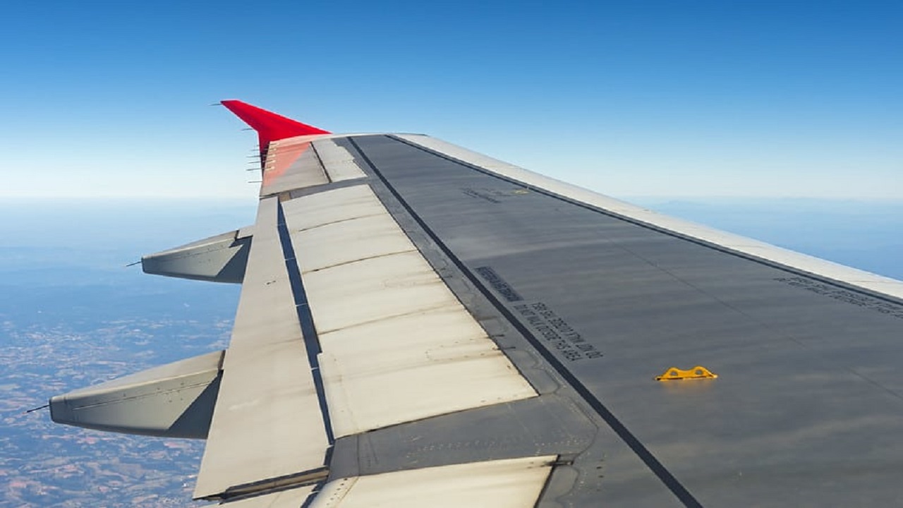 Vishweshwar Bhat Column: ರೆಕ್ಕೆಗಳಲ್ಲೇಕೆ ಇಂಧನ ?