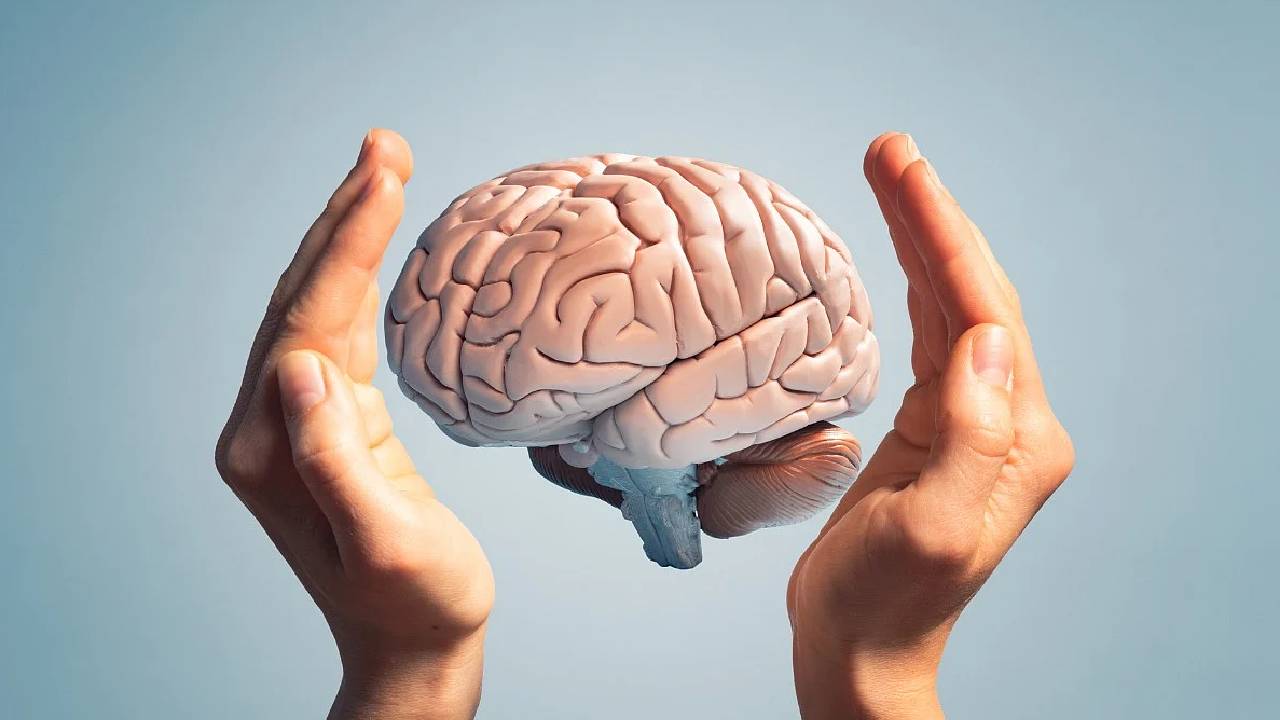 ವಿಶ್ವ ಮೆದುಳು ದಿನ- ತಿಳಿಯಲೇಬೇಕಾದ ವಿಚಾರವಿದು