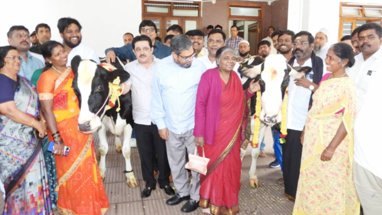 ಹಸುಗಳ ಕೆಚ್ಚಲು ಕೊಯ್ದ ಪ್ರಕರಣ; ಮಾಲೀಕನಿಗೆ ಮೂರು ಹಸು ಕೊಡಿಸಿದ ಜಮೀರ್‌ ಅಹ್ಮದ್‌