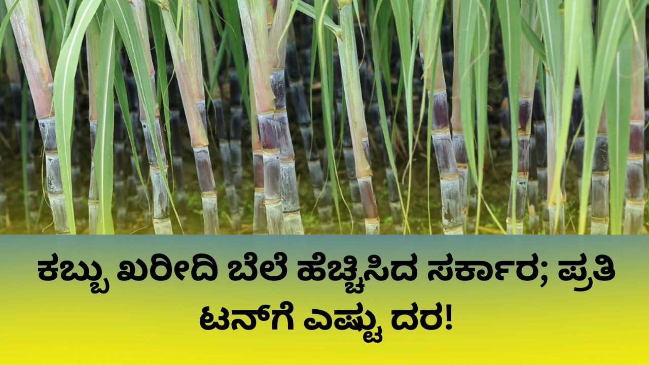Karnataka Sugarcane Price: ಪ್ರತಿ ಟನ್‌ ಕಬ್ಬಿನ ದರ 100 ರೂ. ಹೆಚ್ಚಿಸಿ ಸರ್ಕಾರ ಅಧಿಕೃತ ಆದೇಶ