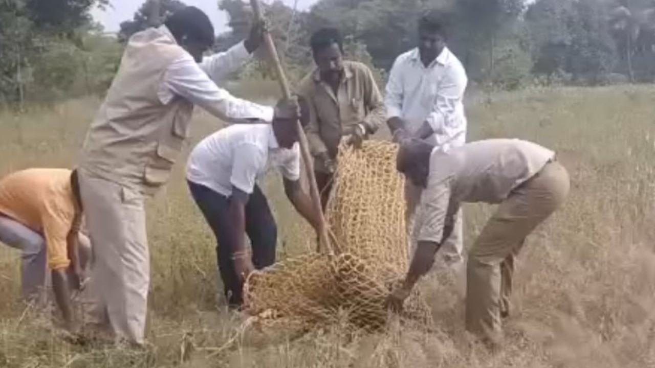 ಎರಡು ಚಿರತೆಗಳ ಕಾದಾಟ; ಗಂಭೀರವಾಗಿ ಗಾಯಗೊಂಡು ಗಂಡು ಚಿರತೆ ಸಾವು