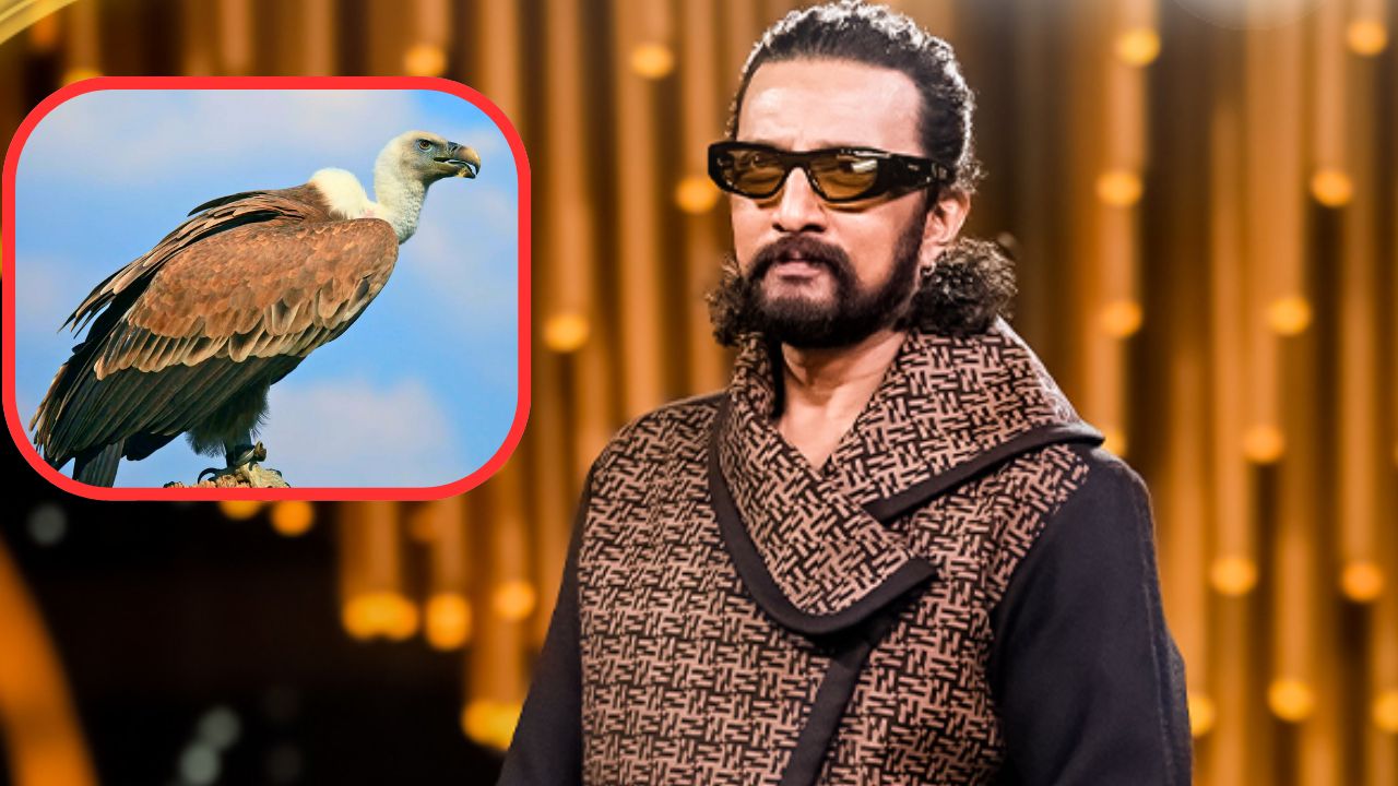 ನಟ ಸುದೀಪ್‌ಗೆ ʻರಣ ಹದ್ದುʼ ಸಂಕಷ್ಟ; ಅರಣ್ಯಾಧಿಕಾರಿಗೆ ದೂರು