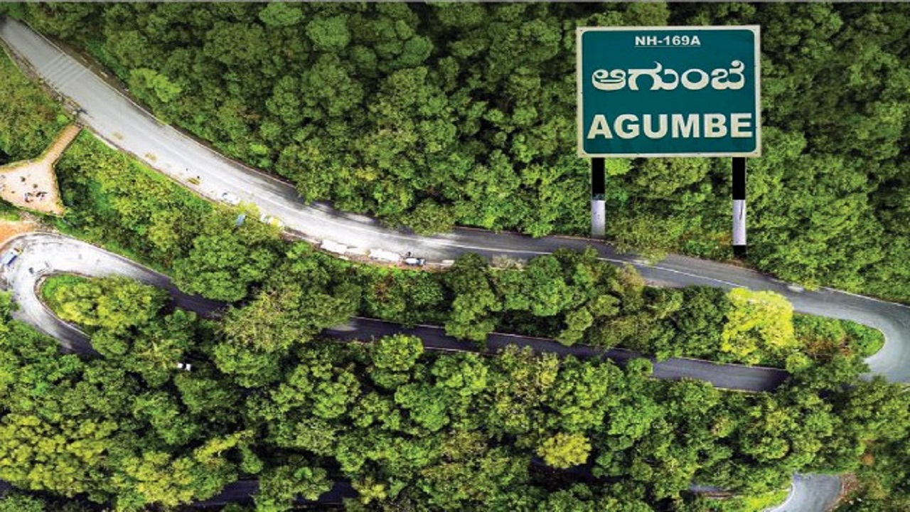 ಬೇಕೆ ಇಂತಹ ವಿನಾಶ! ಹೆದ್ದಾರಿಗಾಗಿ ಕಾಡು ನಾಶ !