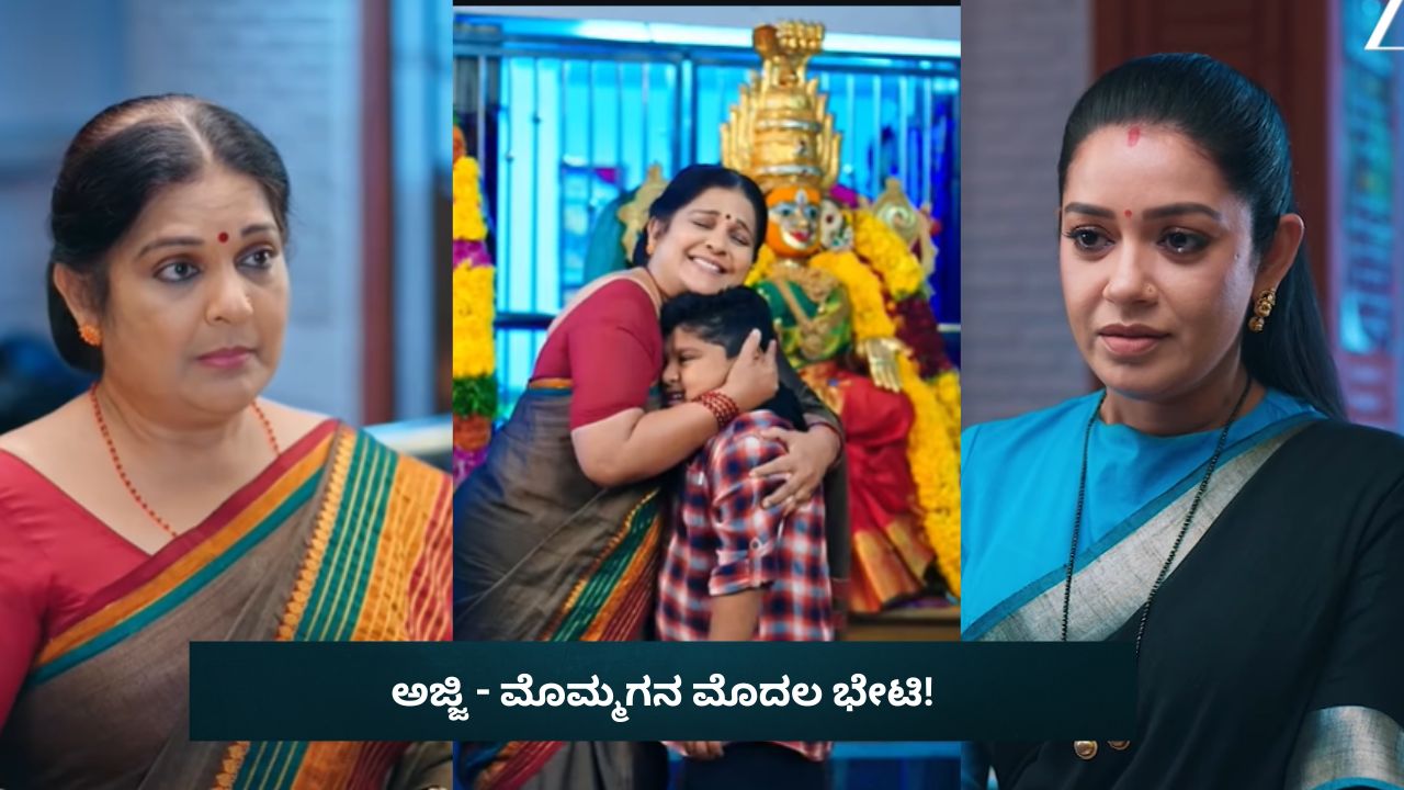 Amruthadhaare Serial: ಮೊಮ್ಮಗನಿಗೆ ಅಜ್ಜಿಯ ಪ್ರೀತಿಯ ಅಪ್ಪುಗೆ!