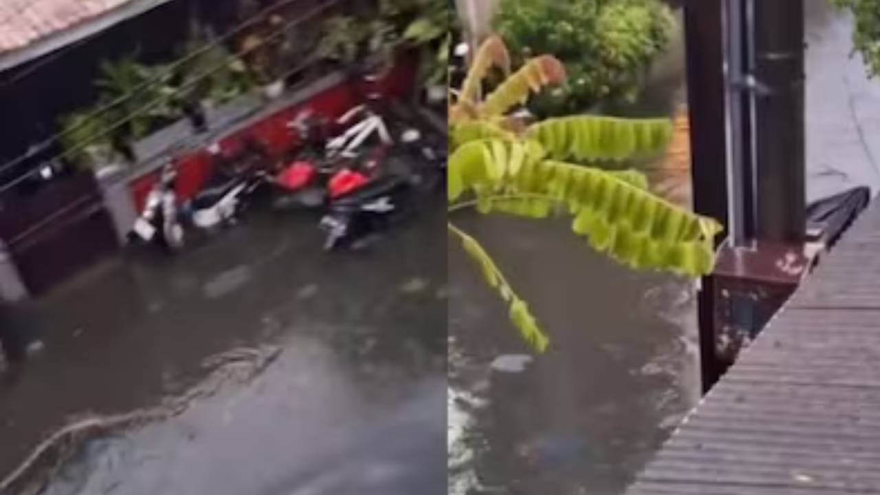 ಬಾಲಿಯಲ್ಲಿ ಭೀಕರ ಮಳೆ: ರಸ್ತೆಯಲ್ಲಿ ಈಜುತ್ತಾ ಬಂದ ಆರು ಅಡಿ ಉದ್ದದ ಹೆಬ್ಬಾವು