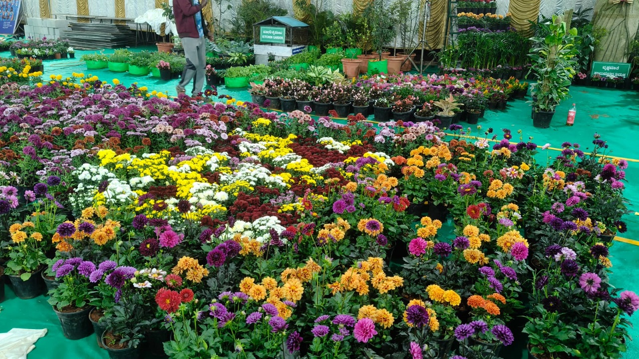 77ನೇ ಗಣರಾಜ್ಯೋತ್ಸವಕ್ಕೆ ಜಿಲ್ಲಾಕ್ರೀಡಾಂಗಣ ಸರ್ವರೀತಿಯಲ್ಲೂ ಸಜ್ಜು