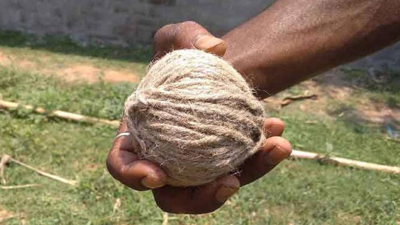 ಬಾಲ್‌ ಎಂದು ಭಾವಿಸಿ ಕ್ರಿಕೆಟ್‌ ಆಡಿದ ಬಾಲಕನಿಗೆ ನಾಡಬಾಂಬ್‌ ಸ್ಫೋಟಿಸಿ ಗಾಯ