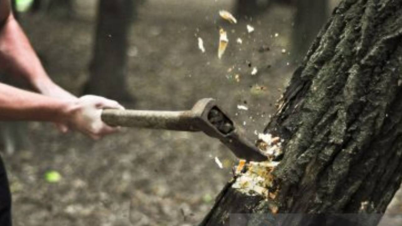 ಮರ ಹತ್ತಿ ಕಡಿಯುವಾಗ ಕೊಂಬೆ ಮರ್ಮಾಂಗಕ್ಕೆ ಬಡಿದು ಯುವಕ ಸಾವು