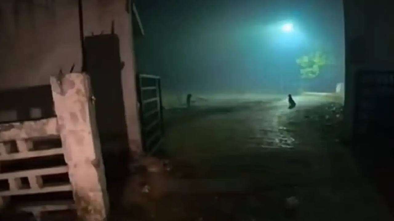 ಸ್ಮಶಾನಕ್ಕೆ ಬಿರಿಯಾನಿ ಆರ್ಡರ್ ಮಾಡಿದ ಮಹಿಳೆ: ಡೆಲಿವರಿ ಬಾಯ್ ಗೆ ಶಾಕ್!