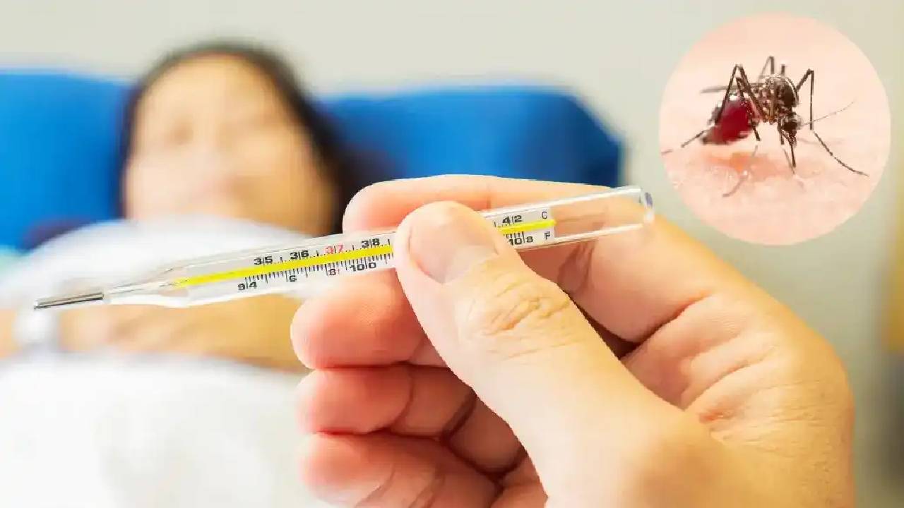 Dengue Fever: ಬೆಂಗಳೂರಲ್ಲಿ ಮಳೆ ತಂದ ಆತಂಕ: ಡೆಂಘೀ, ಮಲೇರಿಯಾ, ವೈರಲ್‌ ಜ್ವರ ಹೆಚ್ಚಳ, ಜೊತೆಗೆ ಕೋವಿಡ್!