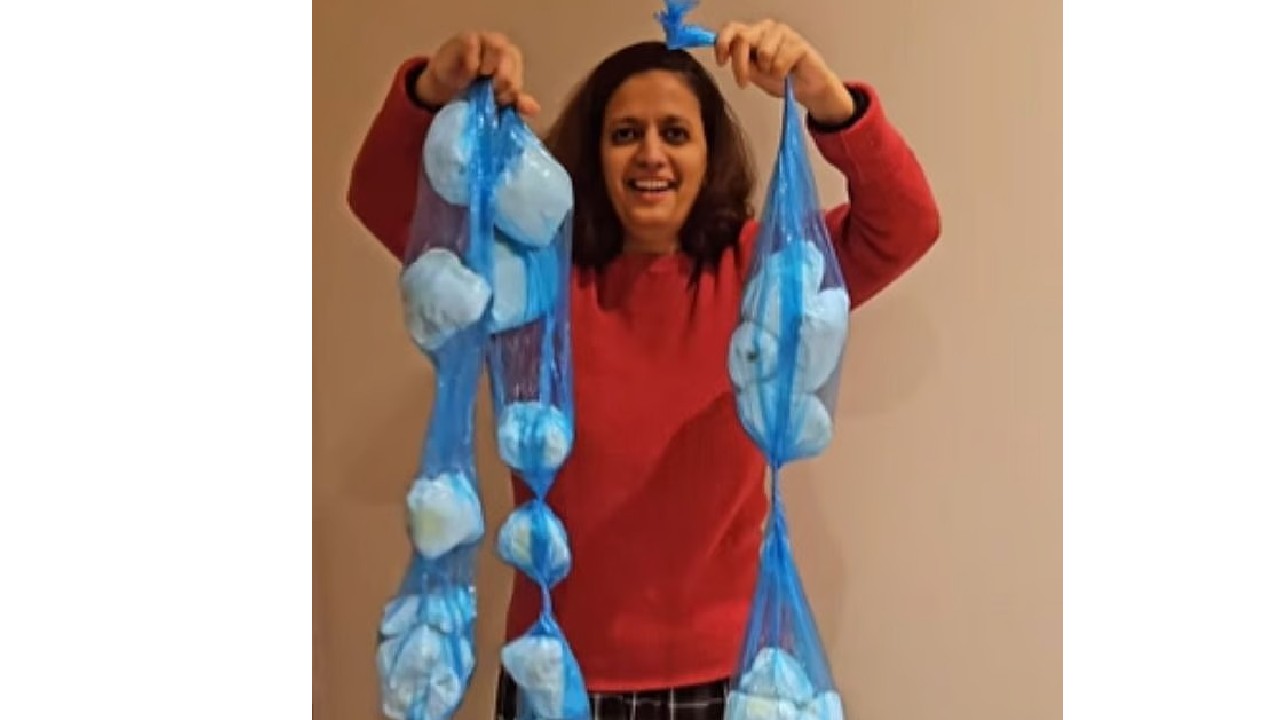 ಡೈಪರ್ ವಾಸನೆ ಸಮಸ್ಯೆಗೆ ಈ ಮಹಿಳೆ ಮಾಡಿದ್ದೇನು?