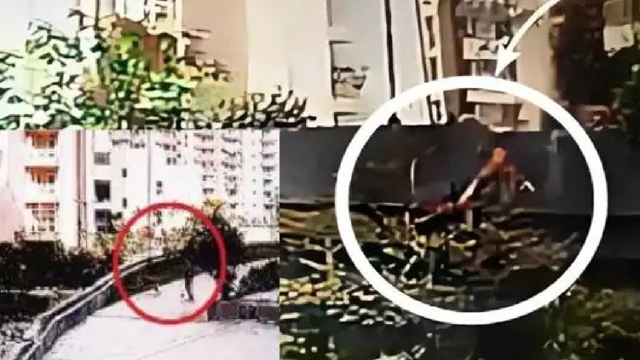 ಮಹಿಳೆ ಮೇಲೆ ಸಾಕು ಶ್ವಾನದ ದಾಳಿ; ಮುಂದೇನಾಯ್ತು? ವಿಡಿಯೊ ನೋಡಿ