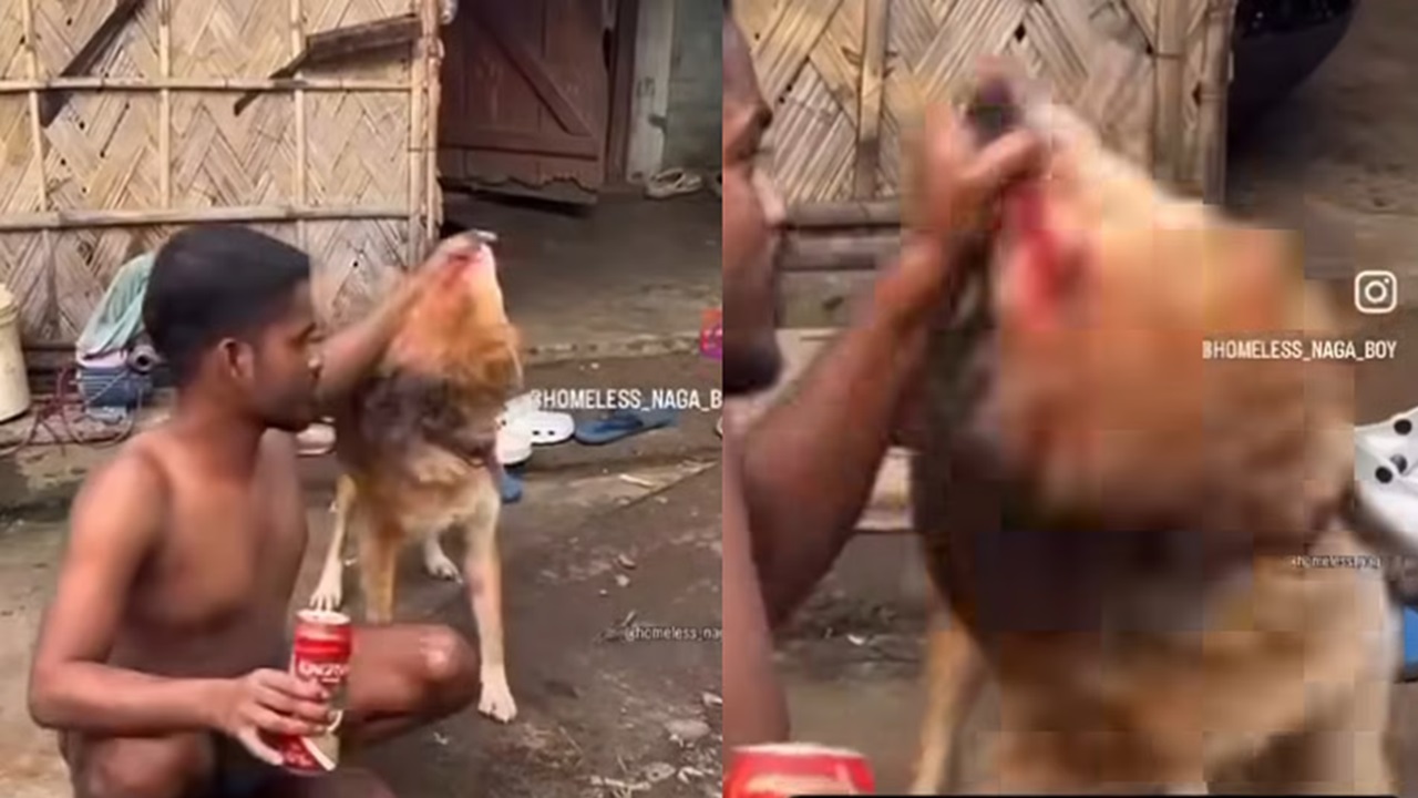 ಬಲವಂತವಾಗಿ ನಾಯಿಗೆ ಬಿಯರ್ ಕುಡಿಸಿದ ವ್ಯಕ್ತಿ;