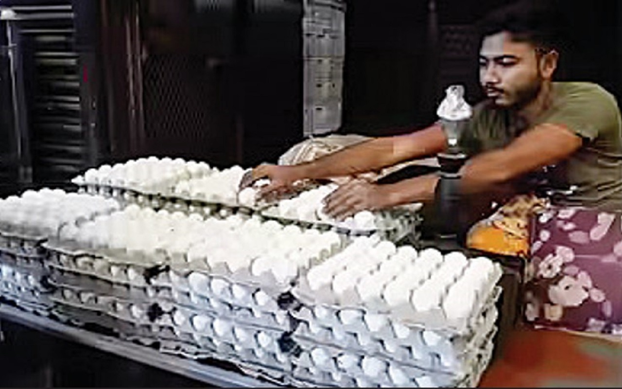 ಮೊಟ್ಟೆ ಬೆಲೆ ದಿಢೀರ್‌ ಕುಸಿತ: ಗ್ರಾಹಕರು ನಿಟ್ಟುಸಿರು