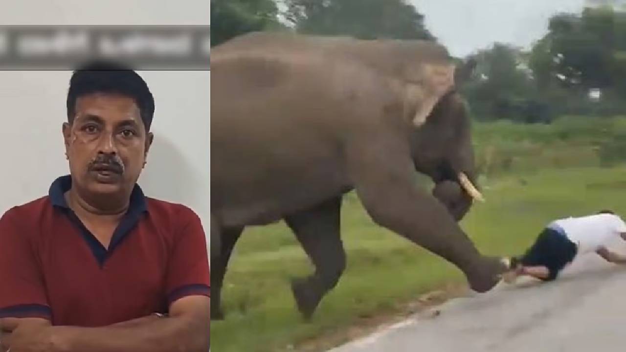 Elephant Attack: ಸೆಲ್ಫಿ ವೇಳೆ ಆನೆ ದಾಳಿ, ಪ್ರಾಣ ಉಳಿಸಿಕೊಂಡವನಿಗೆ ಅರಣ್ಯ ಇಲಾಖೆ ಬಂಧನ, 25 ಸಾವಿರ ರೂ ದಂಡ