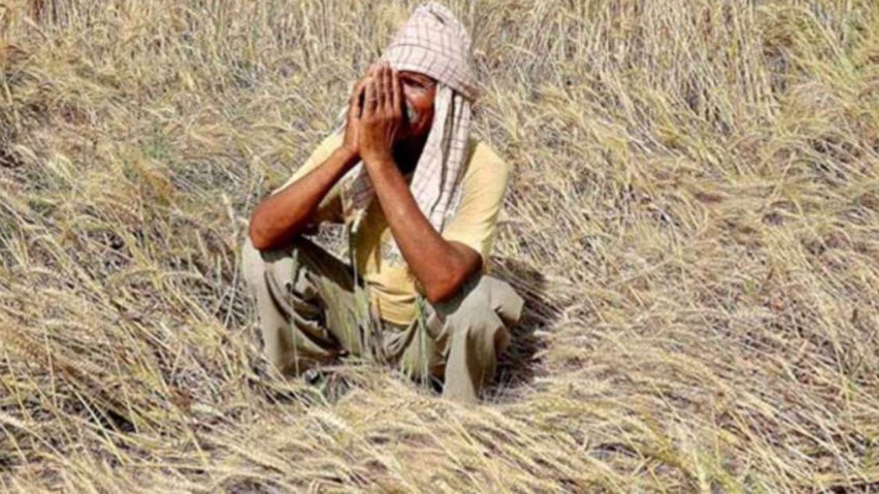 ಮೂರು ವರ್ಷಗಳಲ್ಲಿ ರಾಜ್ಯದಲ್ಲಿ 2,800 ರೈತರು ಆತ್ಮಹತ್ಯೆ