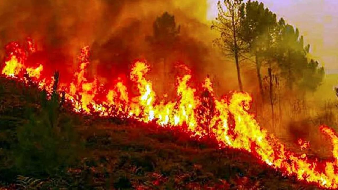 ಭಾರತ ಕಂಡ 10 ಭೀಕರ ಅಗ್ನಿ ದುರಂತಗಳಿವು