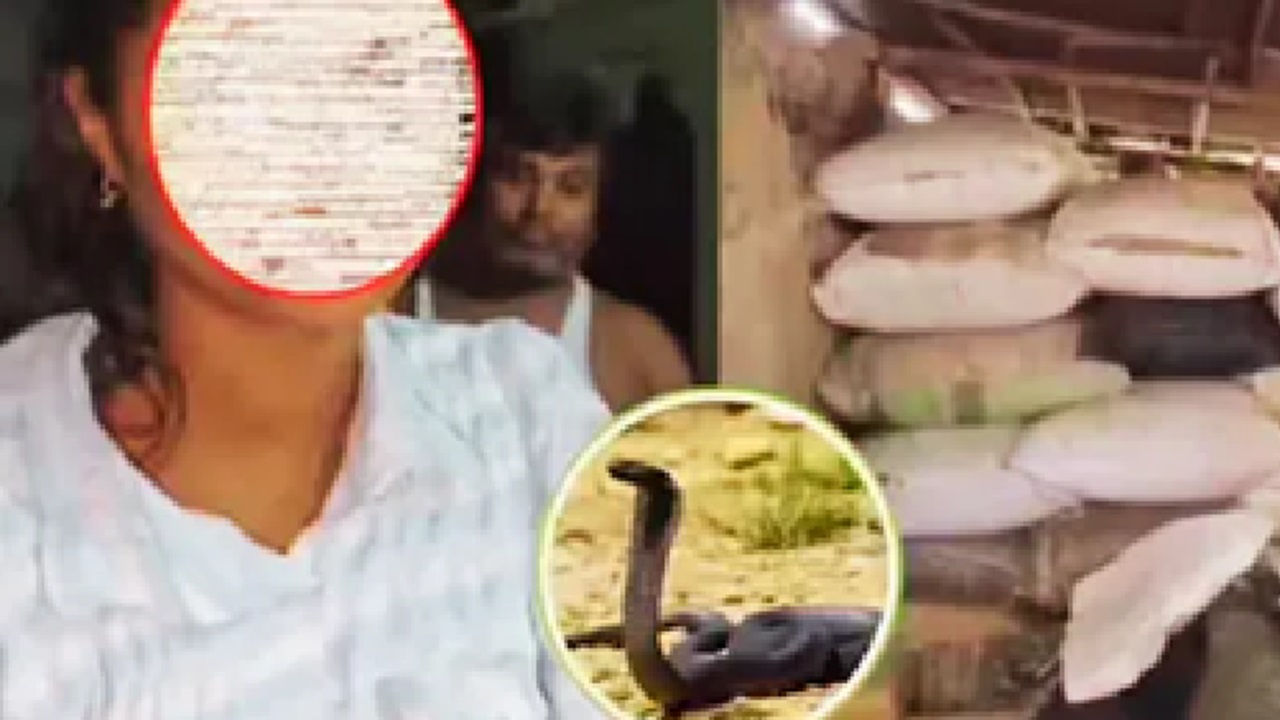 ಬಾಲಕಿಯೊಬ್ಬಳಿಗೆ 40 ದಿನಗಳಲ್ಲಿ 13 ಬಾರಿ ಹಾವು ಕಡಿತ