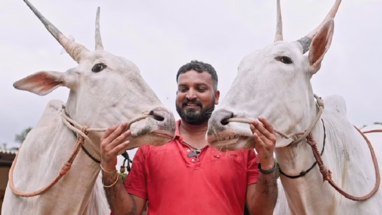 Varthur Santhosh: ಮತ್ತೆ ವೈವಾಹಿಕ ಜೀವನಕ್ಕೆ ಕಾಲಿಡಲು ಸಜ್ಜಾದ ಹಳ್ಳಿಕಾರ್​ ಒಡೆಯ; ವರ್ತೂರು ಕೈ ಹಿಡಿಯಲಿರುವ ಹುಡುಗಿ ಯಾರು?