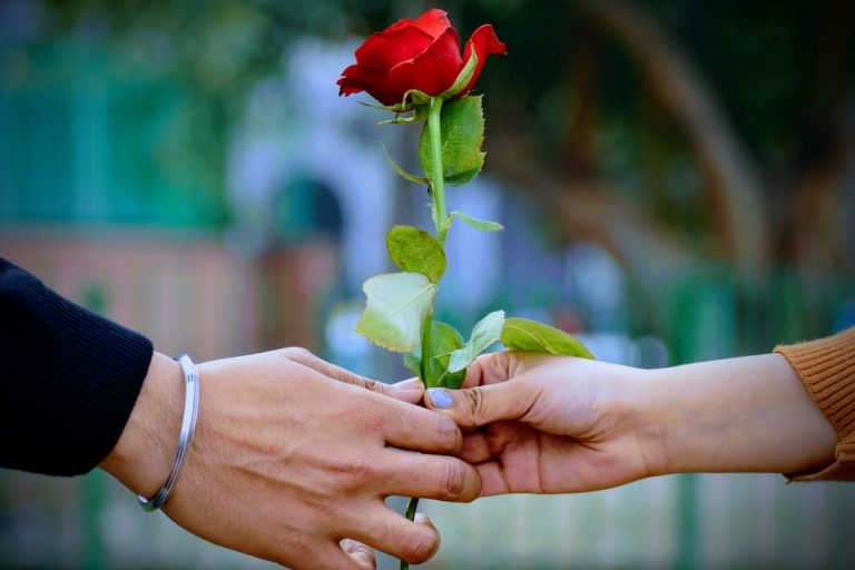 ವಾಹ್ ಎನ್ನ ಚೆಲುವೆ !