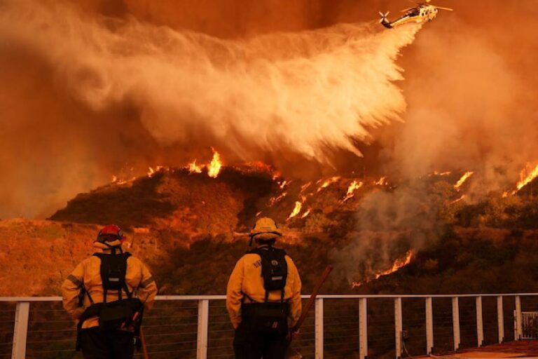 Los Angeles Wildfire: ಲಾಸ್ ಏಂಜಲಿಸ್ನಲ್ಲಿ ನಿಲ್ಲದ ಕಾಡ್ಗಿಚ್ಚು; ಸಾವಿನ ಸಂಖ್ಯೆ 24ಕ್ಕೆ ಏರಿಕೆ- ಮತ್ತೊಂದೆಡೆ ಮನೆಗಳಿಗೆ ಖದೀಮರು ಕನ್ನ