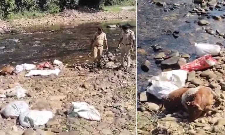 Dharmasthala Cow Slaughter: ಧರ್ಮಸ್ಥಳದ ನದಿಗೆ ಗೋ ಮಾಂಸ ತ್ಯಾಜ್ಯ ಎಸೆದ ಪ್ರಕರಣ-ಇಬ್ಬರು ಅರೆಸ್ಟ್