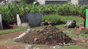 ಕೃಷಿ ತ್ಯಾಜ್ಯದಿಂದ ನವೀನ ಪ್ಯಾಕೇಜಿಂಗ್ ಪರಿಹಾರಗಳ ಅಭಿವೃದ್ಧಿಪಡಿಸಲು ಅಮೆಜಾನ್ ಮತ್ತು ಐಐಟಿ ರೂರ್ಕಿ ಸಹಭಾಗಿತ್ವ