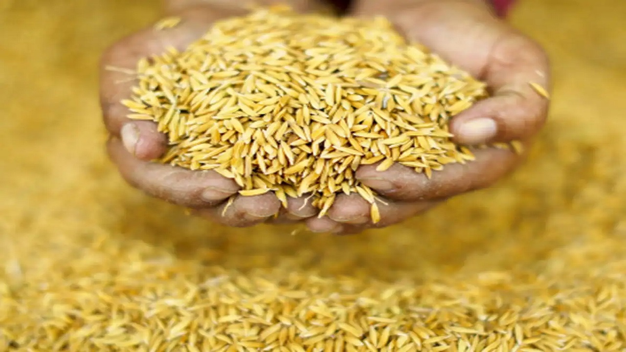 ದಾನ ಮಾಡಿದ ಅಕ್ಕಿಯ ಕಾಳು ಬಂಗಾರವಾದಾಗ