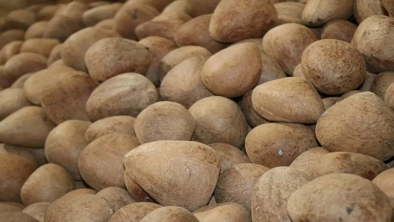 ಉಂಡೆ ಕೊಬ್ಬರಿಗೆ ಭರ್ಜರಿ ಬೆಲೆ