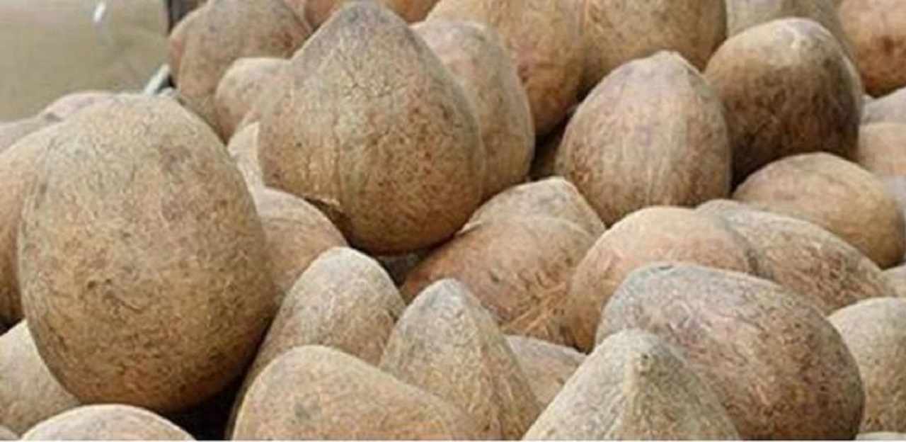 ಕ್ವಿಂಟಲ್ ಗೆ 26,00 ನಿಂದ 30,000 ದಾಟಿದ ಕೊಬ್ಬರಿ ಬೆಲೆ