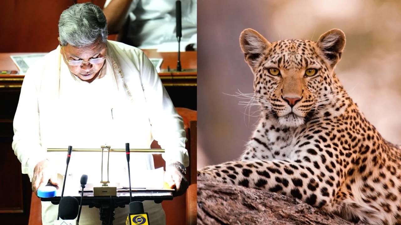 ಬನ್ನೇರುಘಟ್ಟದಲ್ಲಿ ಐದು ಕೋಟಿ ರೂ. ವೆಚ್ಚದಲ್ಲಿ ಚಿರತೆ ಪುನರ್ವಸತಿ ಕೇಂದ್ರ