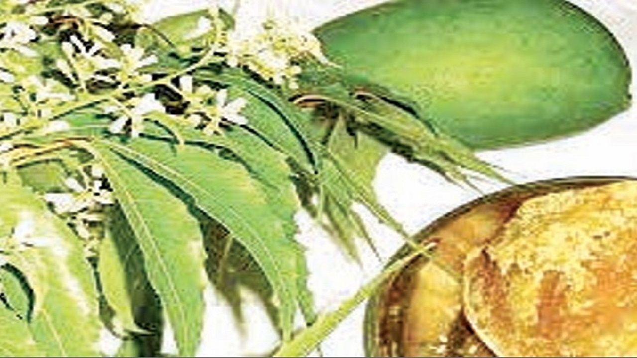 ಚೈತ್ರಮಾಸ, ವಸಂತ ಋತುವಿನ ಮೊದಲ ದಿನ