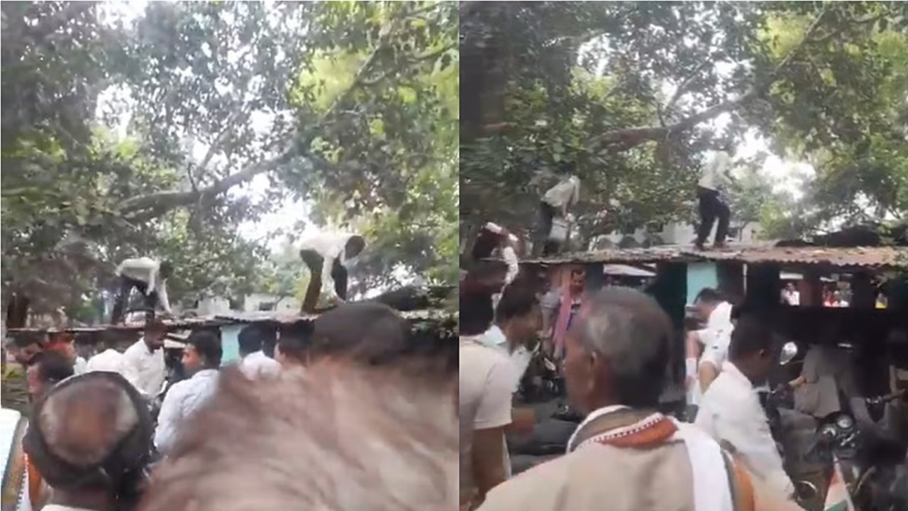 ಬೈಕ್ನಲ್ಲಿದ್ದ ಹಣದ ಚೀಲ ಎತ್ತಿಕೊಂಡ ಮಂಗ!