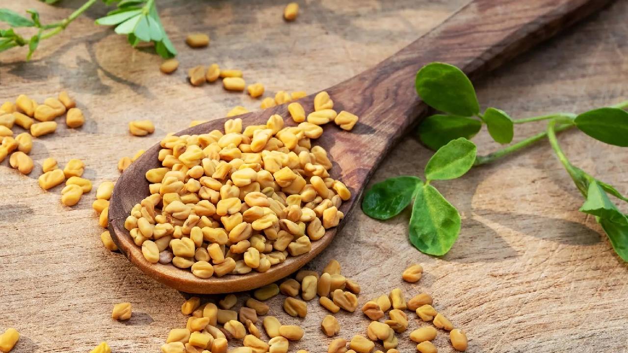 ಮಧುಮೇಹಿಗಳು ಮೆಂತೆಯನ್ನು ತಿನ್ನಬಹುದೇ?