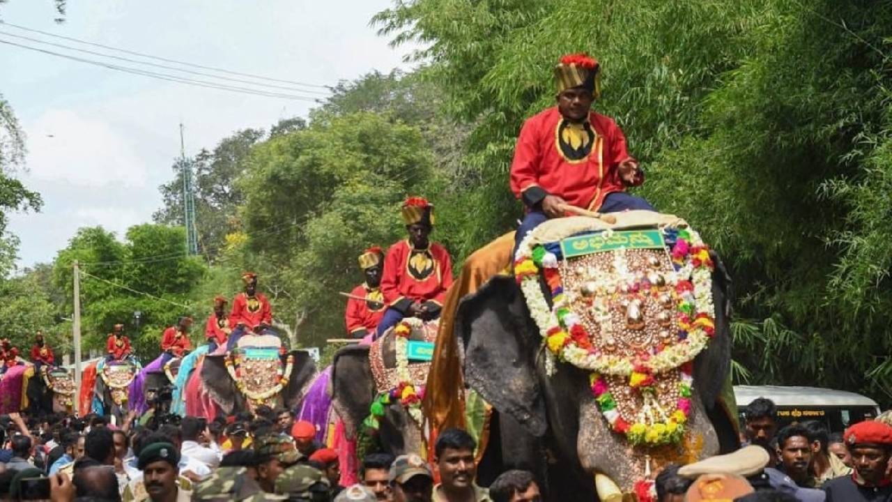 Mysuru Dasara: ಈ ಬಾರಿಯೂ ಮೈಸೂರು ದಸರಾ ಅಂಬಾರಿ ಹೊಣೆ ಅಭಿಮನ್ಯು ಹೆಗಲಿಗೆ, 9 ಆನೆ ಅಯ್ಕೆ