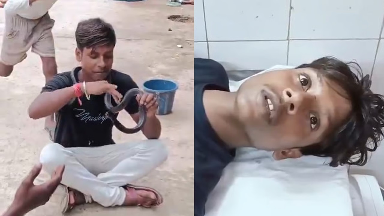 ಇನ್ಸ್ಟಾಗ್ರಾಂ ರೀಲ್ಸ್ ತಂದ ಫಜೀತಿ; ಯುವಕನಿಗೆ ಕಚ್ಚಿದ ವಿಷಸರ್ಪ
