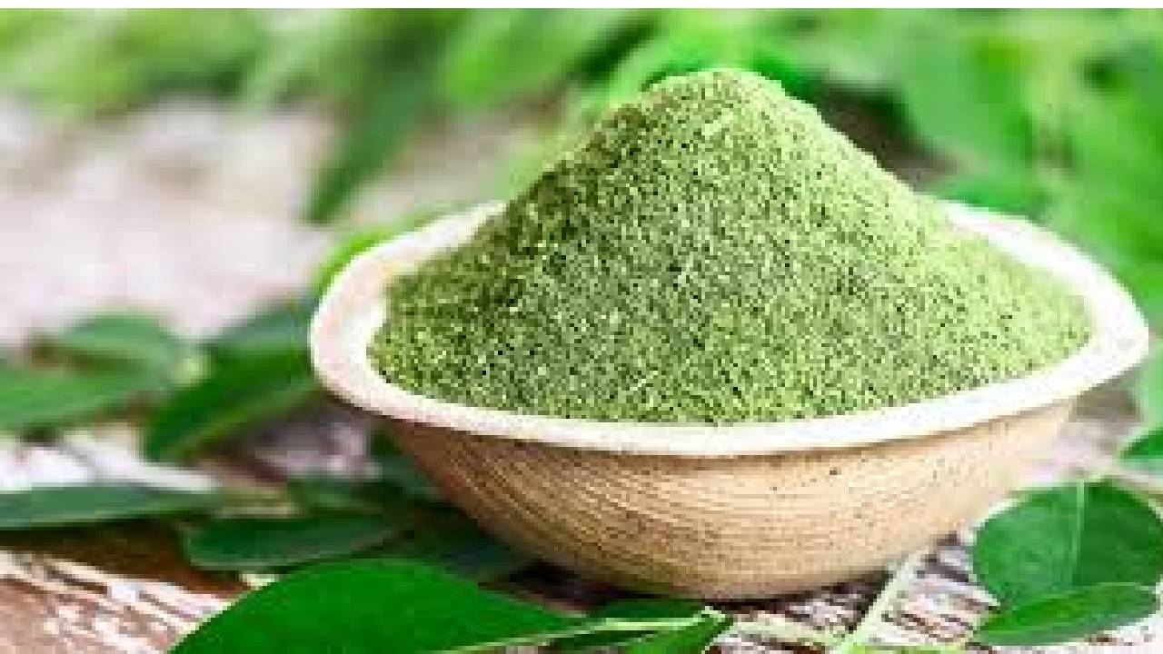 ನುಗ್ಗೆಸೊಪ್ಪಿನ ಚಹಾದಿಂದ ಈ ಆರೋಗ್ಯ ಲಾಭ ಇದೆ!