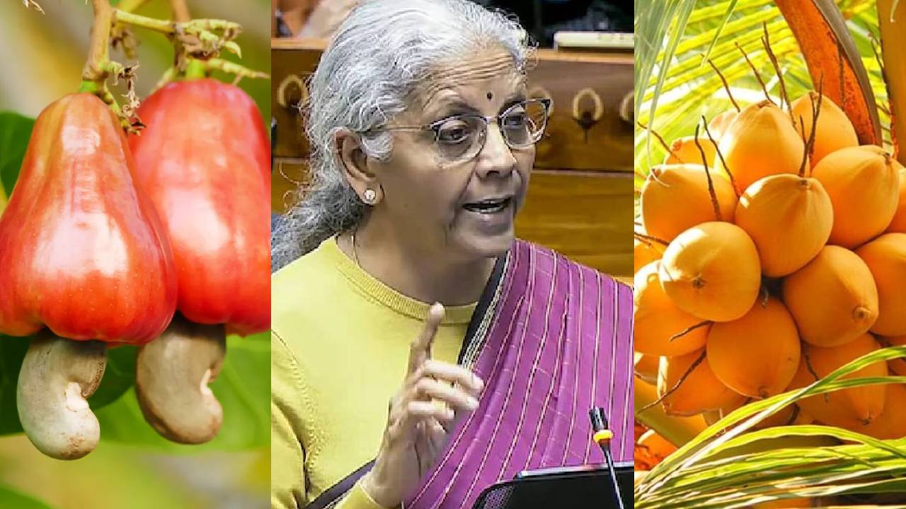 ತೆಂಗಿನಕಾಯಿ, ಗೋಡಂಬಿ, ಶ್ರೀಗಂಧ ಕೃಷಿಕರಿಗೆ ಹೊಸ ಯೋಜನೆಗಳ ಖುಷಿ