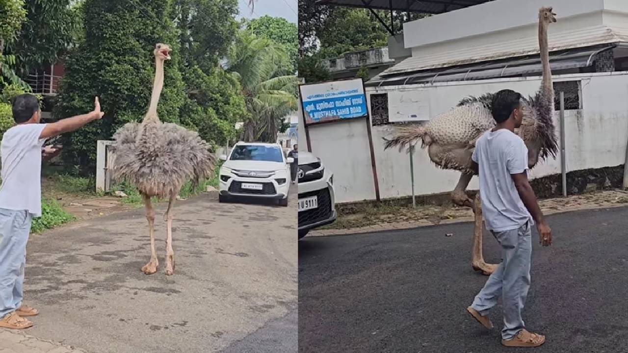 ಟ್ರಾಫಿಕ್ ರೂಲ್ಸ್ ಫಾಲೋ ಮಾಡಿದ ಆಸ್ಪ್ರಿಚ್; ನೆಟ್ಟಿಗರು ಹೇಳಿದ್ದೇನು?
