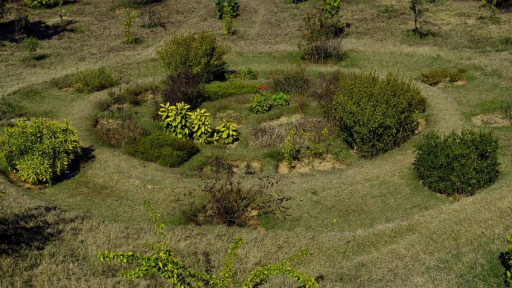 ಬೆಂಗಳೂರಿನಲ್ಲಿ 153 ಎಕ್ರೆಯಲ್ಲಿ ಟ್ರೀ ಪಾರ್ಕ್ ನಿರ್ಮಾಣಕ್ಕೆ ಸಿದ್ಧತೆ