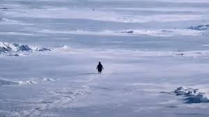 ವೈರಲ್ ಆದ ನಿಹಿಲಿಸ್ಟ್ ಪೆಂಗ್ವಿನ್ ಹಿನ್ನೆಲೆ ಗೊತ್ತಾ?