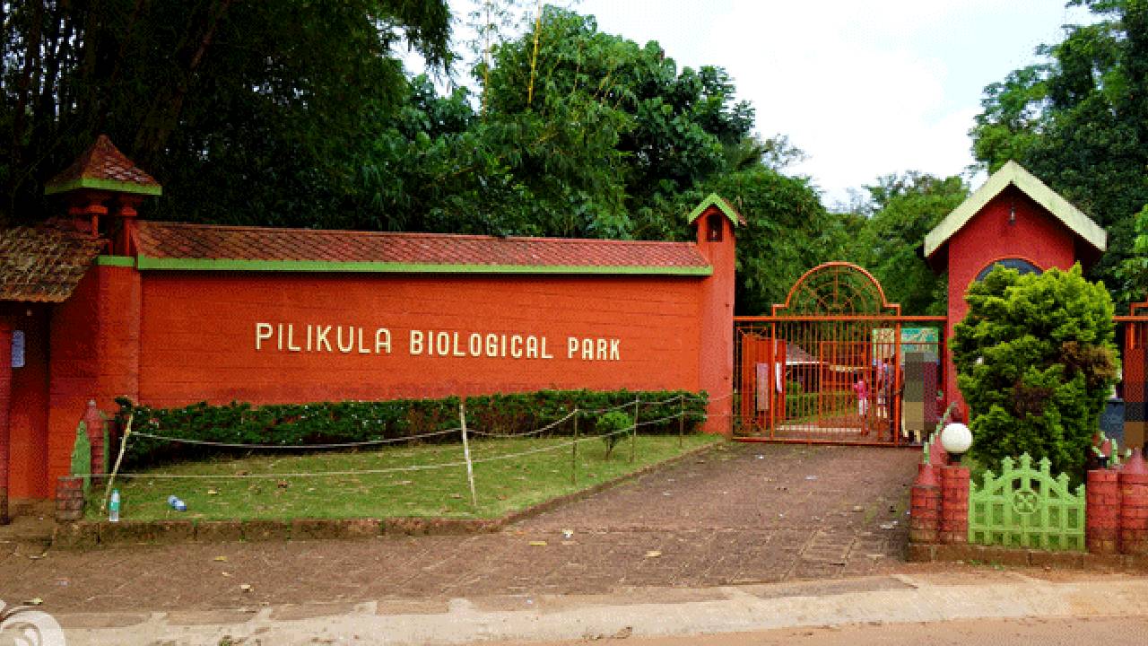 Pilikula Biological park: ಮಂಗಳೂರು ಪಿಲಿಕುಳ ಜೈವಿಕ ಉದ್ಯಾನದಲ್ಲಿ ಪ್ರಾಣಿಗಳ ನಿಗೂಢ ಮರಣ; ವಾರದಲ್ಲಿ 9 ಸಾವು ವರದಿ