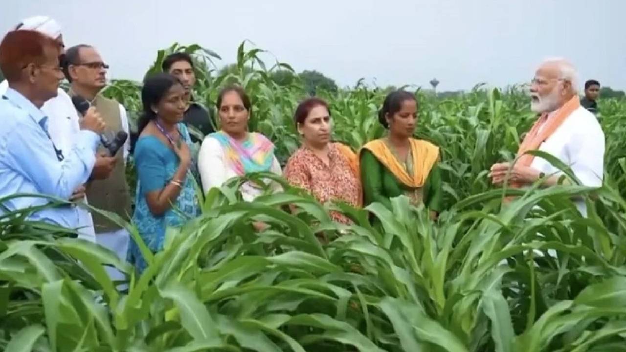 PM Kisan 21st Installment: ಪಿಎಂ ಕಿಸಾನ್‌ ಯೋಜನೆ ಹಣ 21ನೇ ಕಂತು ಇಂದು ಬಿಡುಗಡೆ, ಕೊಯಮತ್ತೂರಿನಲ್ಲಿ ಪ್ರಧಾನಿ ಮೋದಿಯಿಂದ ರಿಲೀಸ್‌