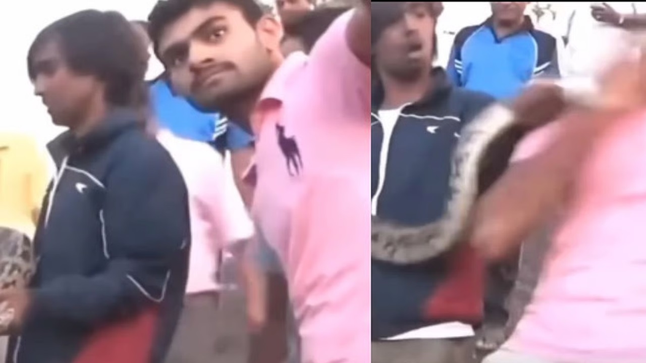 ಸೆಲ್ಫಿ ವೇಳೆ ಮತ್ತೊಂದು ಅವಾಂತರ; ಪೋಸ್‌ ನೀಡಿದ ಯುವಕನ ಕೈಗೆ ಕಚ್ಚಿದ ಹೆಬ್ಬಾವು: ಭಯಾನಕ ವಿಡಿಯೊ ಇಲ್ಲಿದೆ
