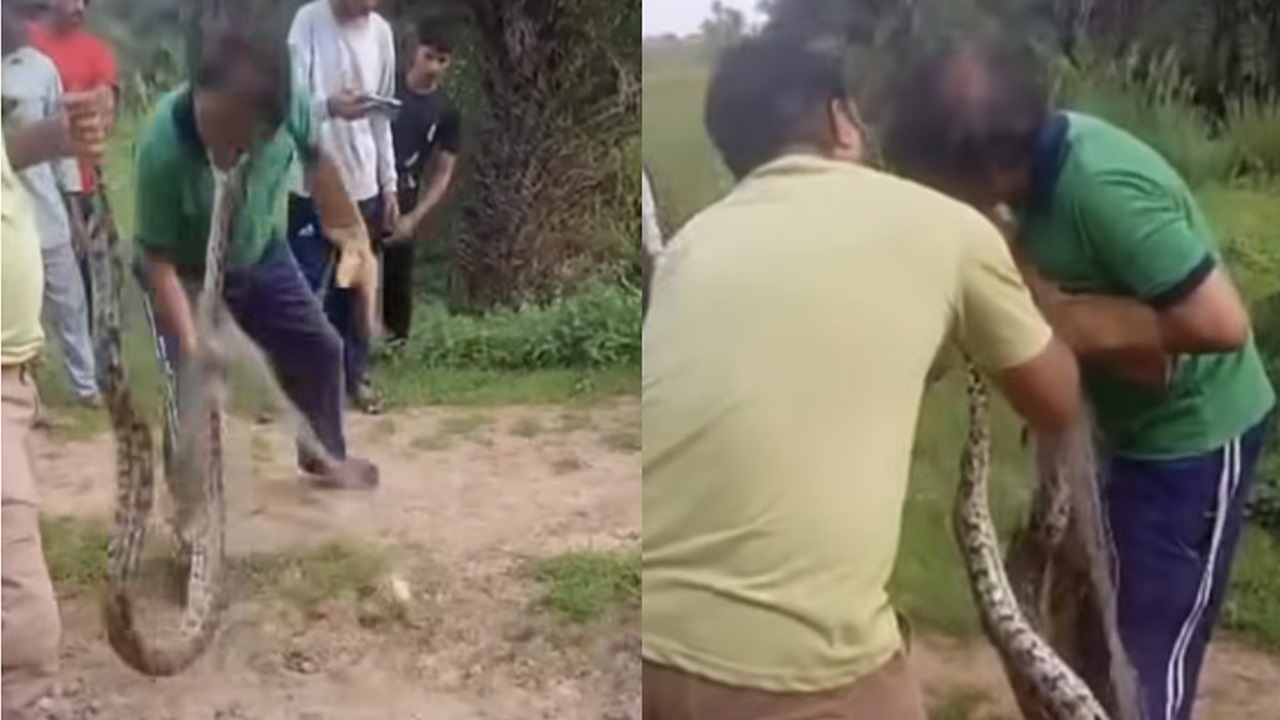 ವ್ಯಕ್ತಿ ಮೇಲೆ ಹೆಬ್ಬಾವು ಡೆಡ್ಲಿ ಅಟ್ಯಾಕ್‌! ವಿಡಿಯೊ ನೋಡಿ