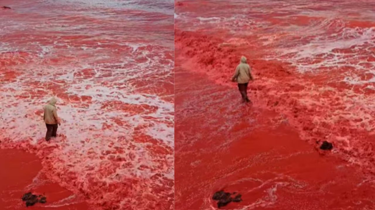 ರಾತ್ರೋರಾತ್ರಿ ಕೆಂಪು ಬಣ್ಣಕ್ಕೆ ತಿರುಗಿದ ಹಾರ್ಮುಜ್ ದ್ವೀಪದ ಸಮುದ್ರ!