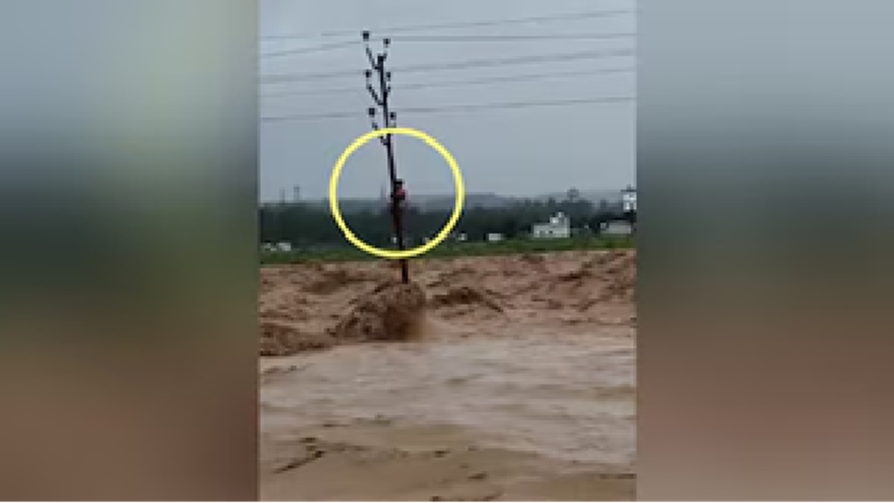 ಪ್ರಾಣ ರಕ್ಷಣೆಗಾಗಿ ವಿದ್ಯುತ್ ಕಂಬವೇರಿದ ವ್ಯಕ್ತಿ!