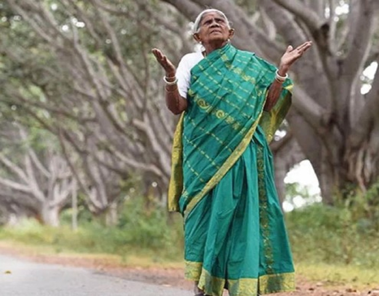 Surendra Pai Column: ಸಾವಿರದ ಸಾಲುಮರಗಳು !